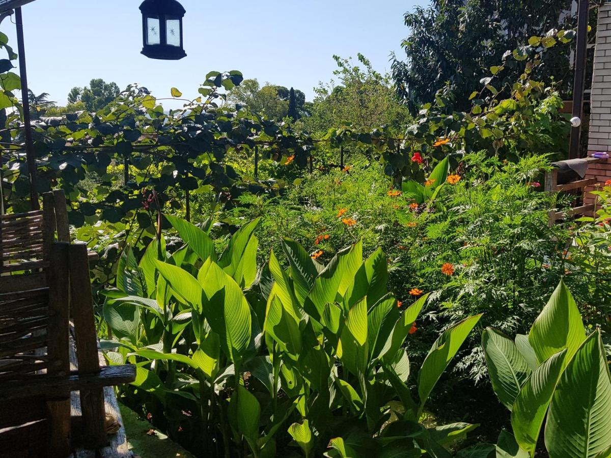 Эко-Отель Гагра Gagra Buitenkant foto